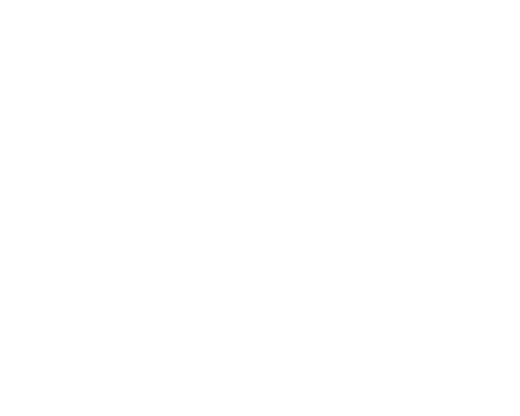 PCI DSS